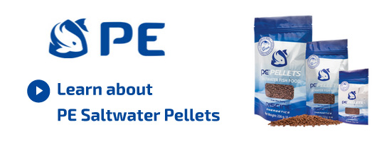 Saltwater Pellets