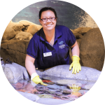 Piscine Energetics - Aquarist Feeding Fish