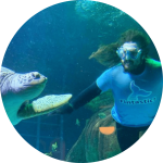 Piscine Energetics - Aquarist Feeding Turtle
