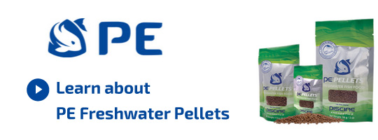 Freshwater Pellets